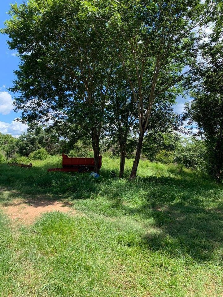 Fazenda-Sítio-Chácara, 200 m² - Foto 58