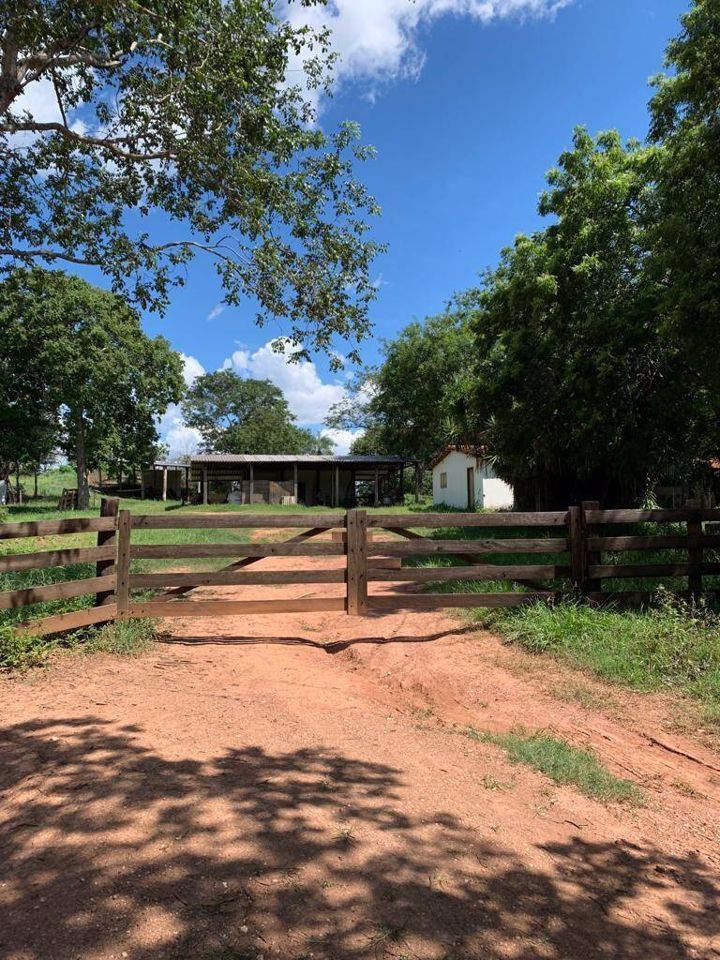 Fazenda-Sítio-Chácara, 200 m² - Foto 61