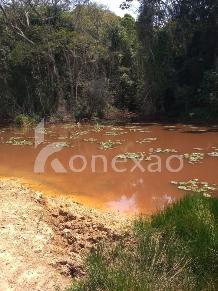 Sítio, 2 quartos, 200 m² - Foto 1