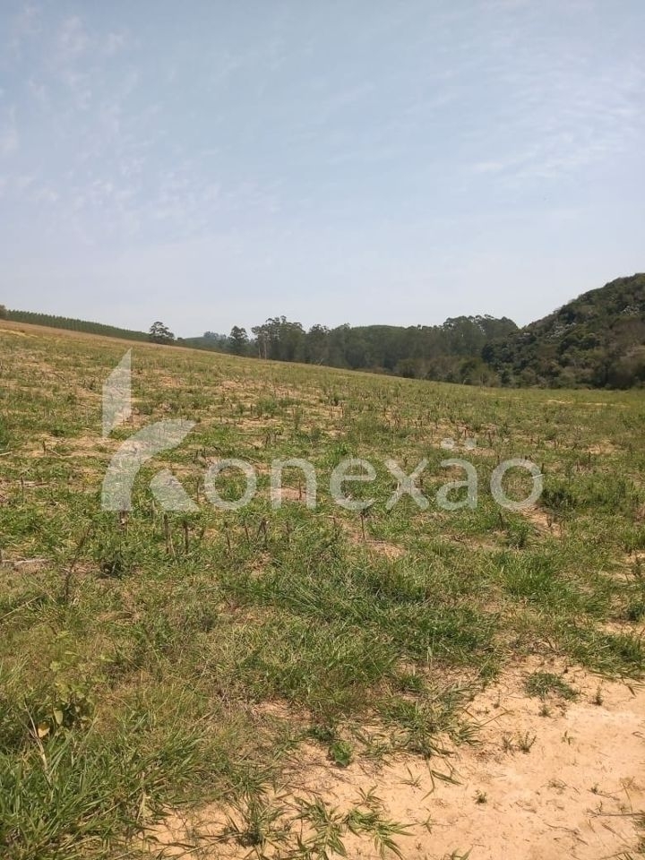 Sítio, 2 quartos, 200 m² - Foto 3