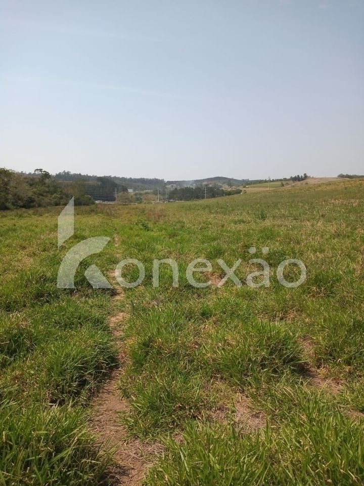 Sítio, 2 quartos, 200 m² - Foto 5