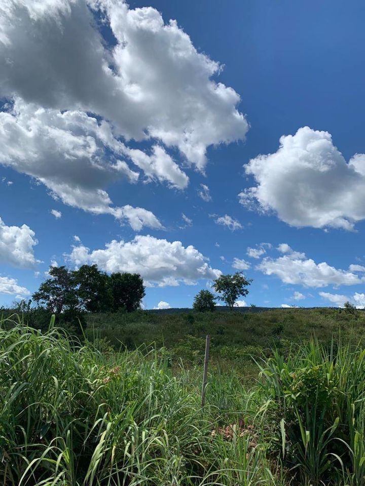 Fazenda-Sítio-Chácara, 200 m² - Foto 66