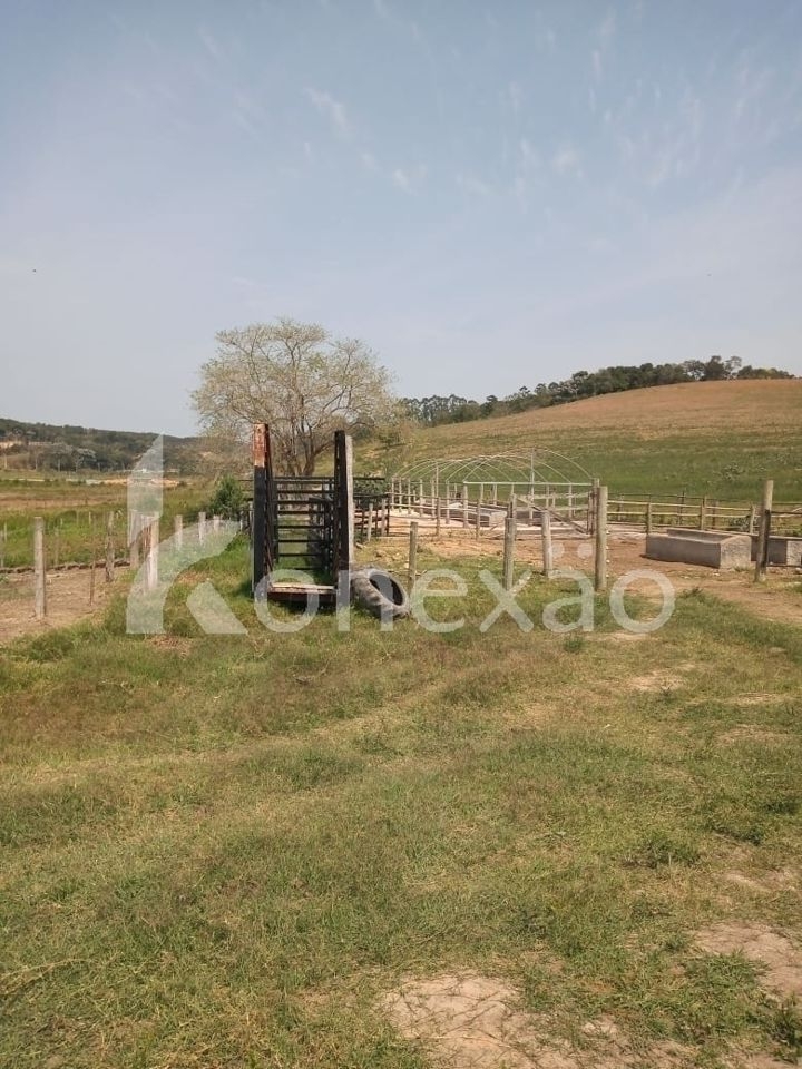 Sítio, 2 quartos, 200 m² - Foto 6