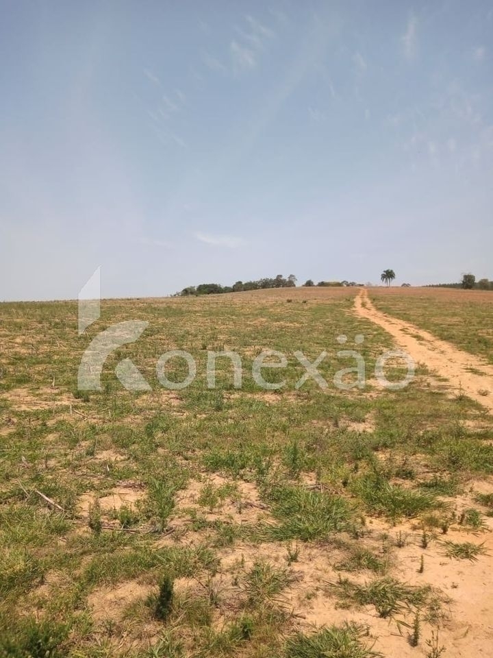 Sítio, 2 quartos, 200 m² - Foto 8