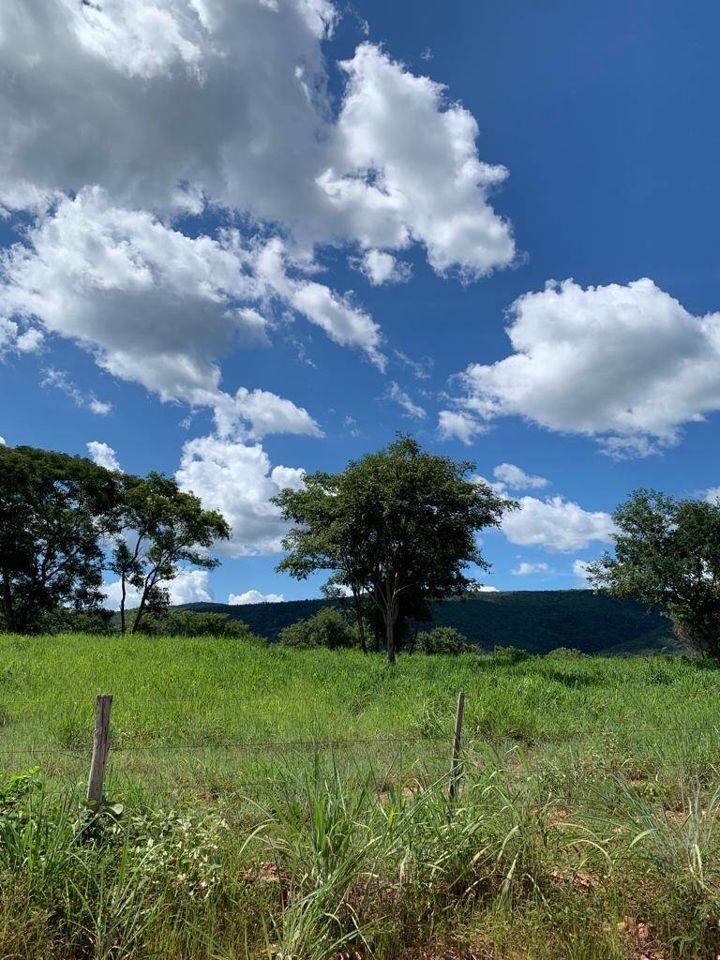 Fazenda-Sítio-Chácara, 200 m² - Foto 62