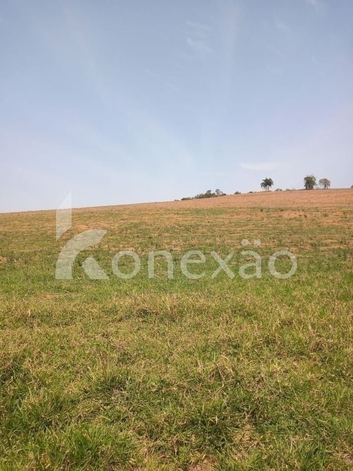 Sítio, 2 quartos, 200 m² - Foto 9