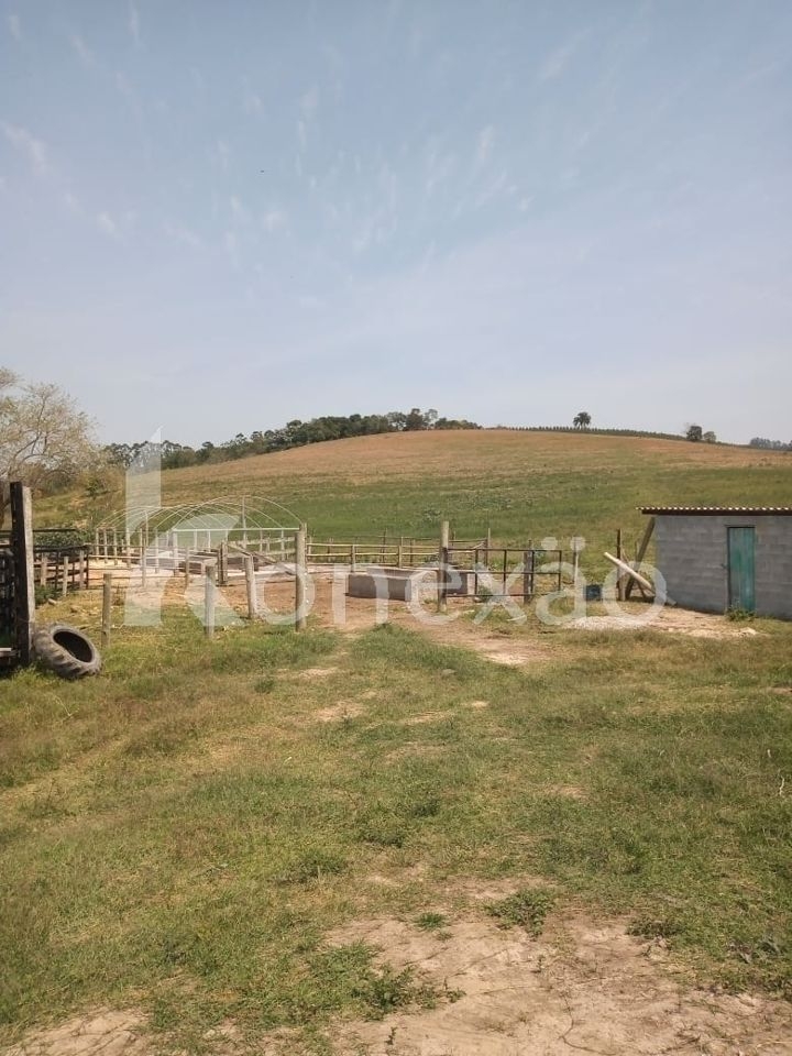 Sítio, 2 quartos, 200 m² - Foto 10