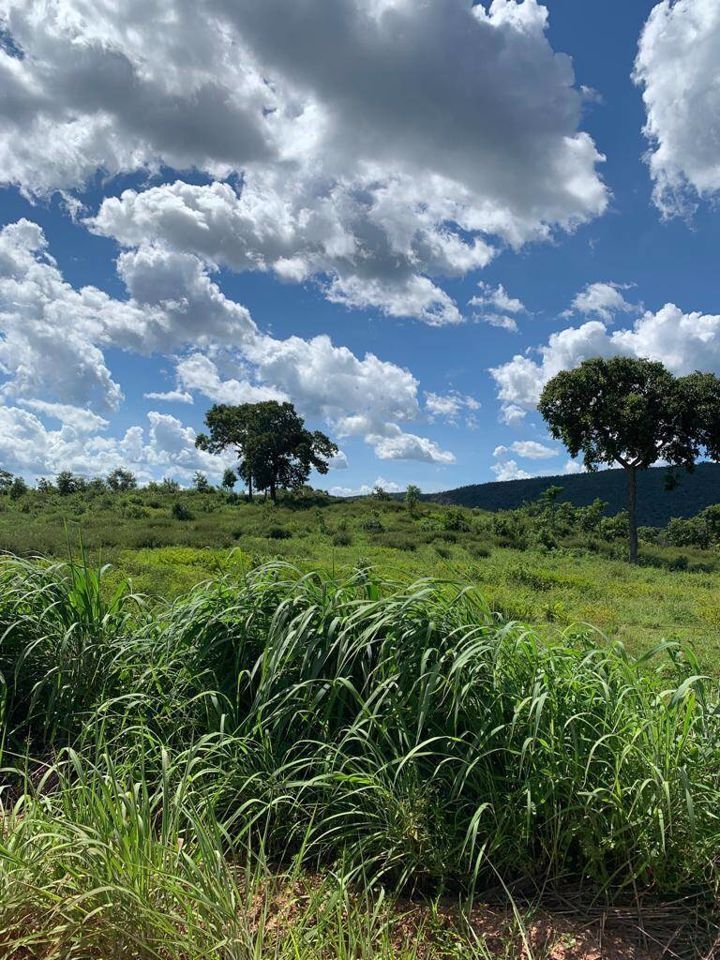 Fazenda-Sítio-Chácara, 200 m² - Foto 69