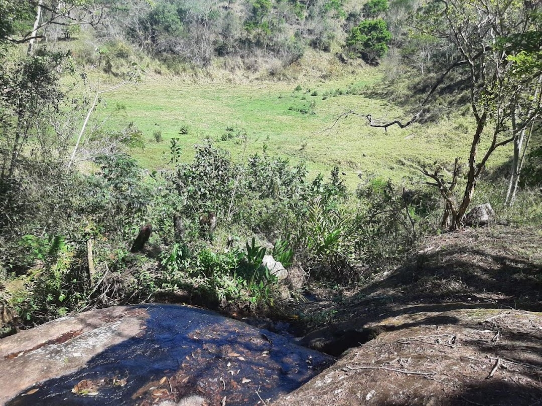 Fazenda-Sítio-Chácara, 200 m² - Foto 4