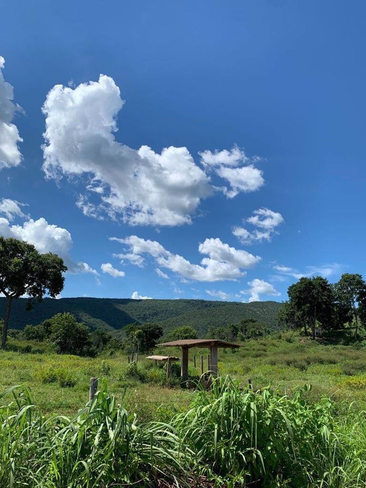 Fazenda-Sítio-Chácara, 200 m² - Foto 65