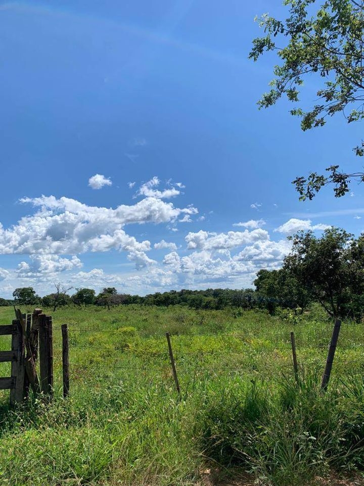 Fazenda-Sítio-Chácara, 200 m² - Foto 64
