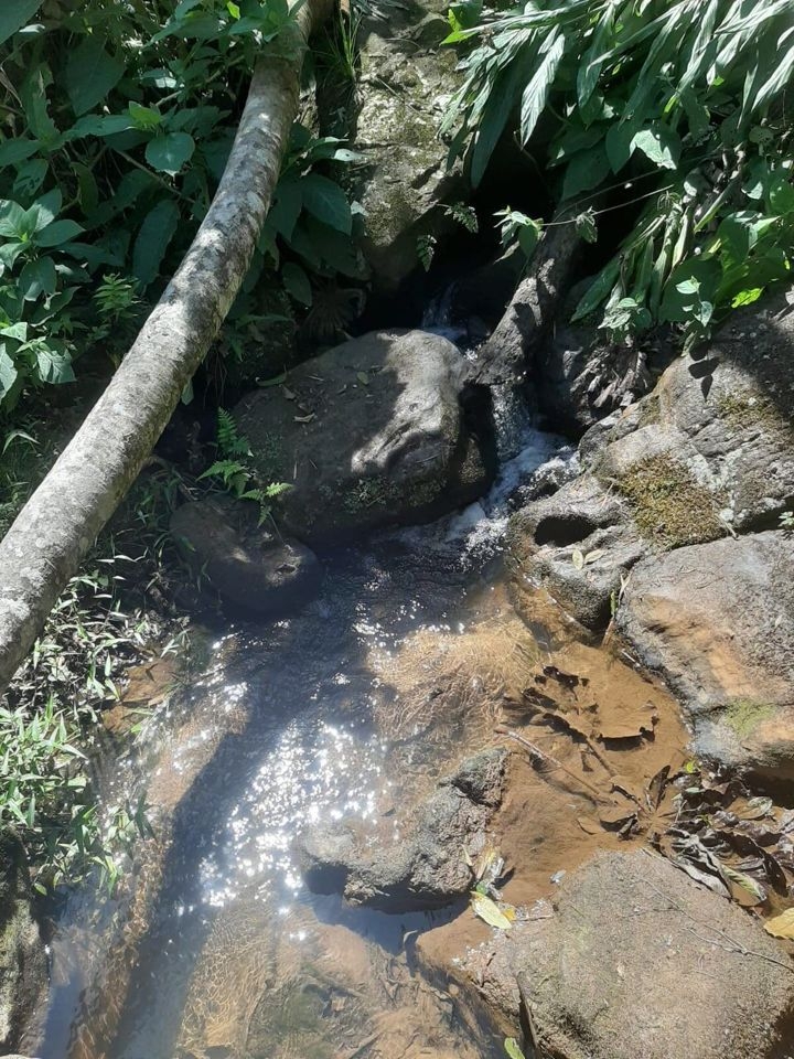 Fazenda-Sítio-Chácara, 200 m² - Foto 7