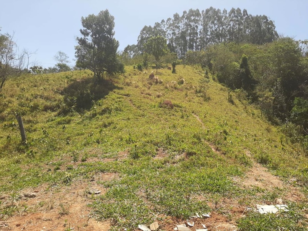 Fazenda-Sítio-Chácara, 200 m² - Foto 14