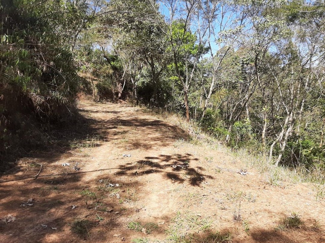 Fazenda-Sítio-Chácara, 200 m² - Foto 9