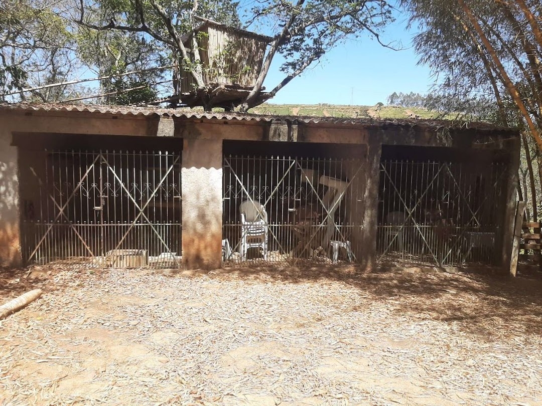 Fazenda-Sítio-Chácara, 200 m² - Foto 18