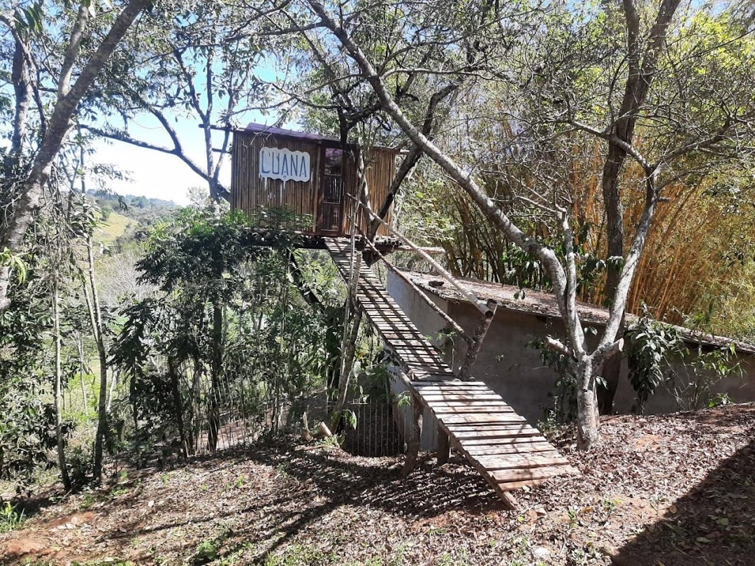 Fazenda-Sítio-Chácara, 200 m² - Foto 19