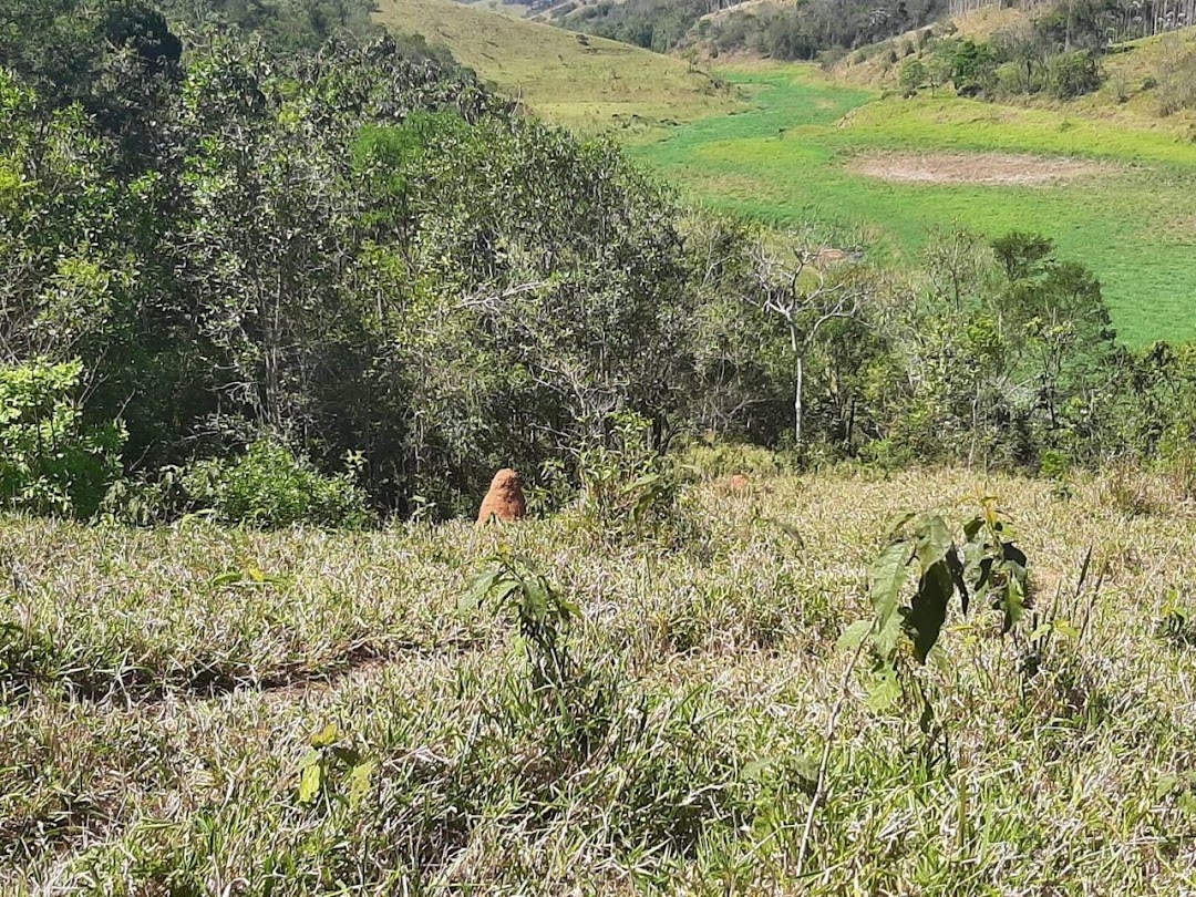 Fazenda-Sítio-Chácara, 200 m² - Foto 17