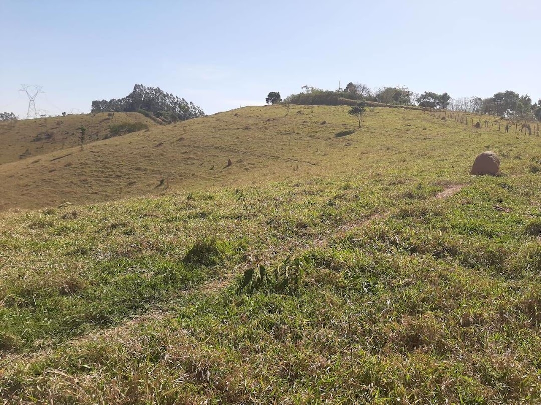 Fazenda-Sítio-Chácara, 200 m² - Foto 16