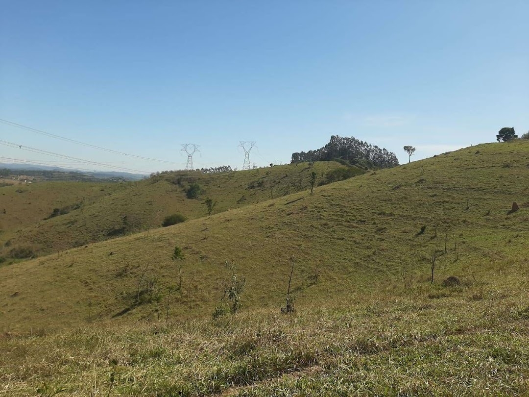 Fazenda-Sítio-Chácara, 200 m² - Foto 11