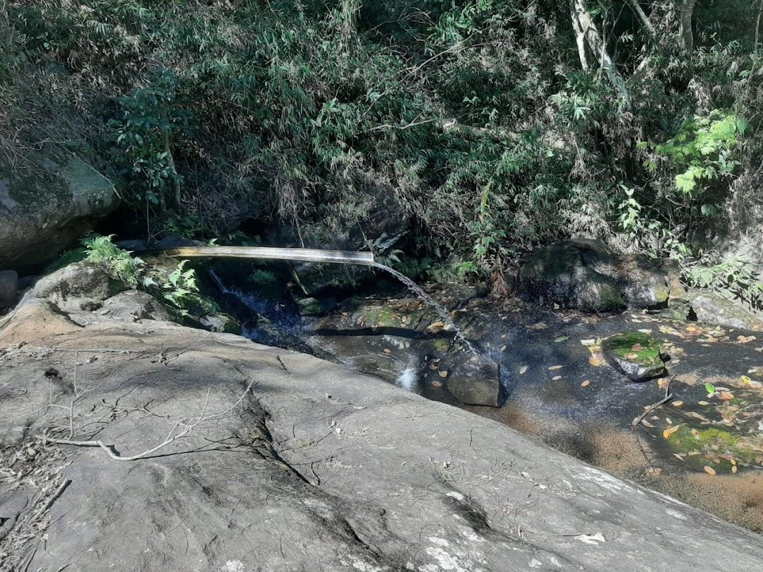 Fazenda-Sítio-Chácara, 200 m² - Foto 5