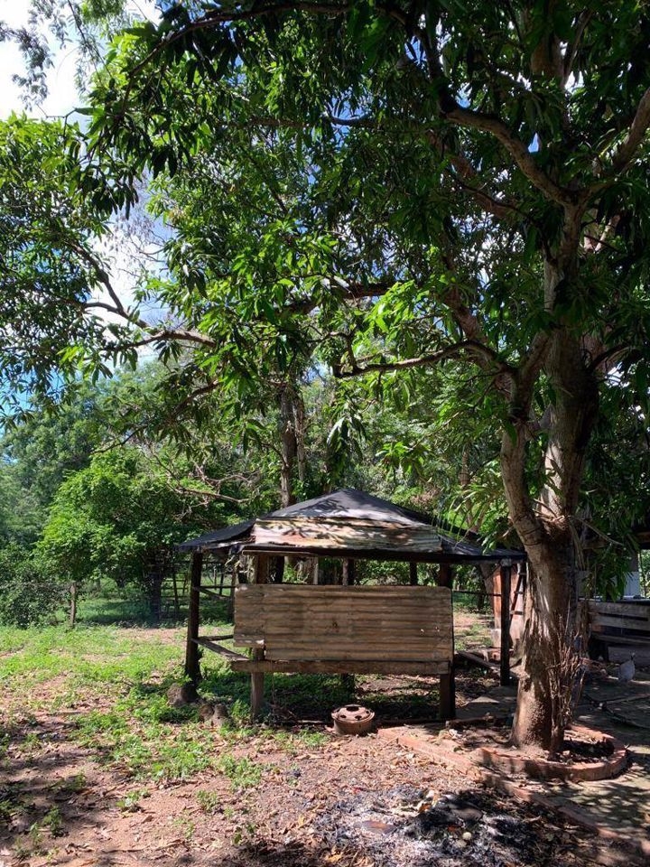 Fazenda-Sítio-Chácara, 200 m² - Foto 60