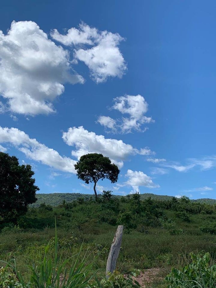 Fazenda-Sítio-Chácara, 200 m² - Foto 71