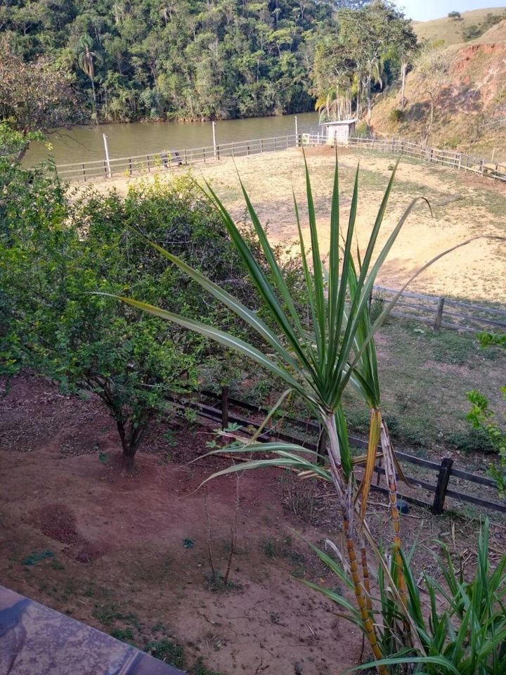 Fazenda, 200 m² - Foto 7