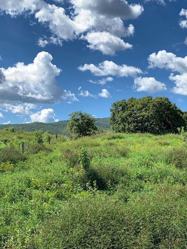 Fazenda-Sítio-Chácara, 200 m² - Foto 74