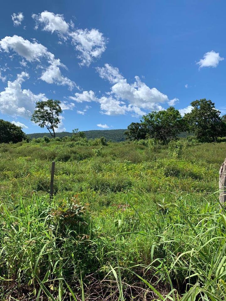 Fazenda-Sítio-Chácara, 200 m² - Foto 76