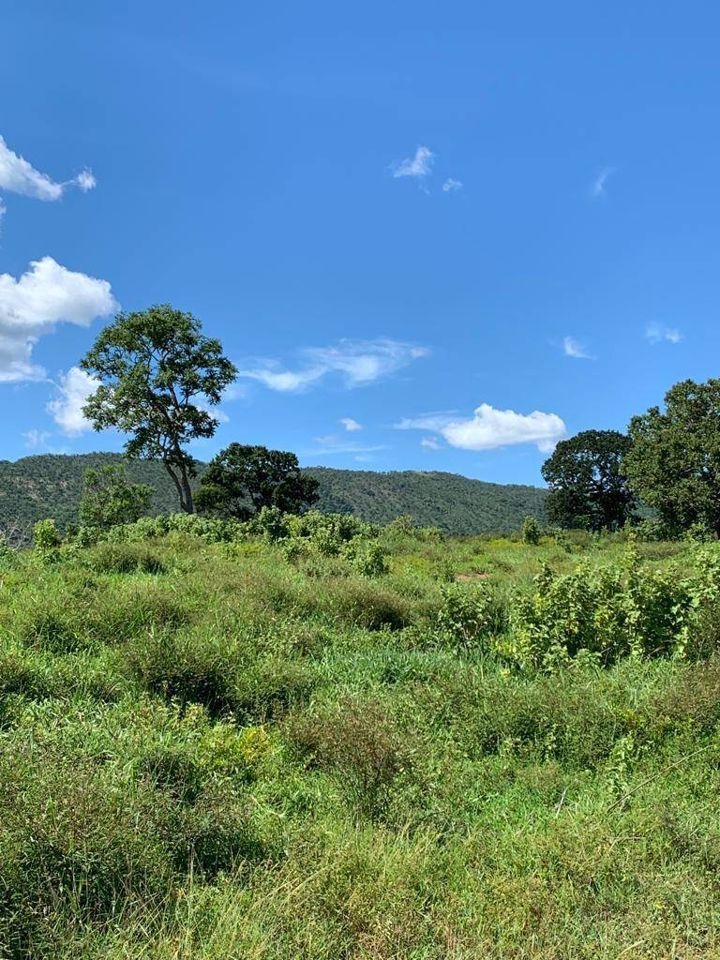 Fazenda-Sítio-Chácara, 200 m² - Foto 78