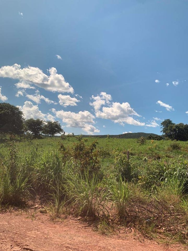 Fazenda-Sítio-Chácara, 200 m² - Foto 87