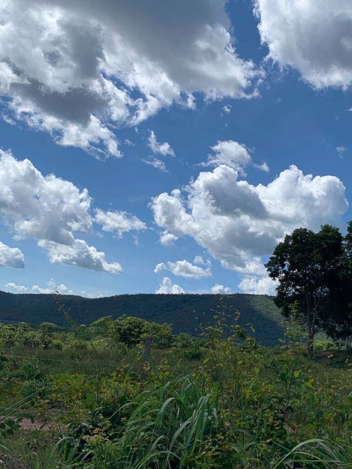 Fazenda-Sítio-Chácara, 200 m² - Foto 75