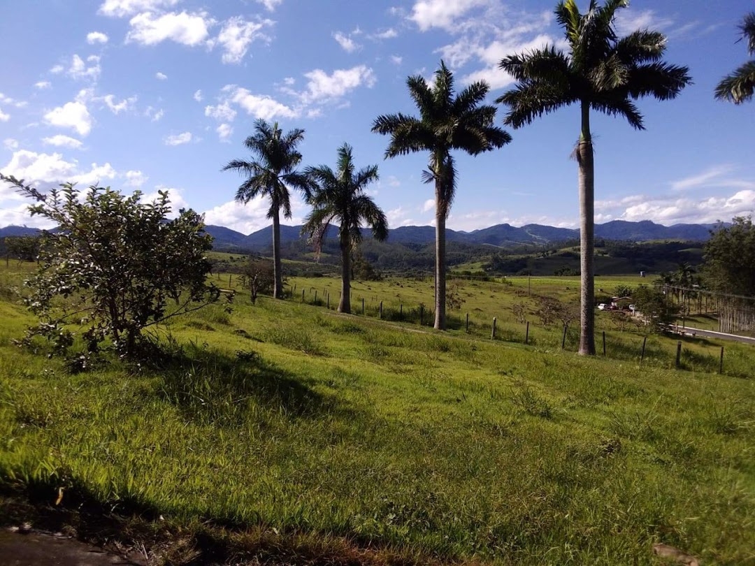 Sítio, 1 quarto, 150 m² - Foto 2