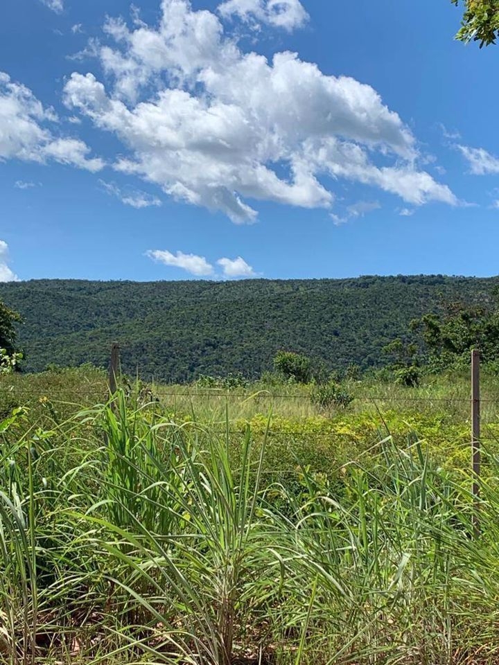 Fazenda-Sítio-Chácara, 200 m² - Foto 82