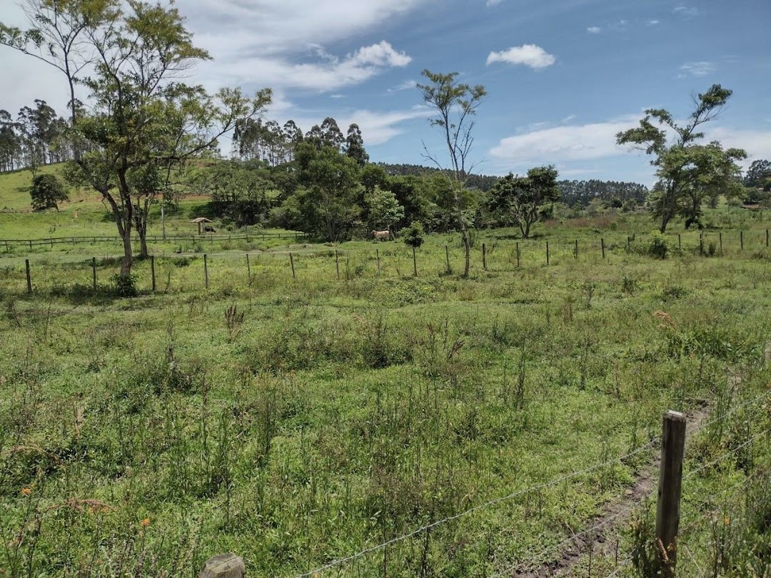 Sítio, 2 quartos, 100 m² - Foto 5