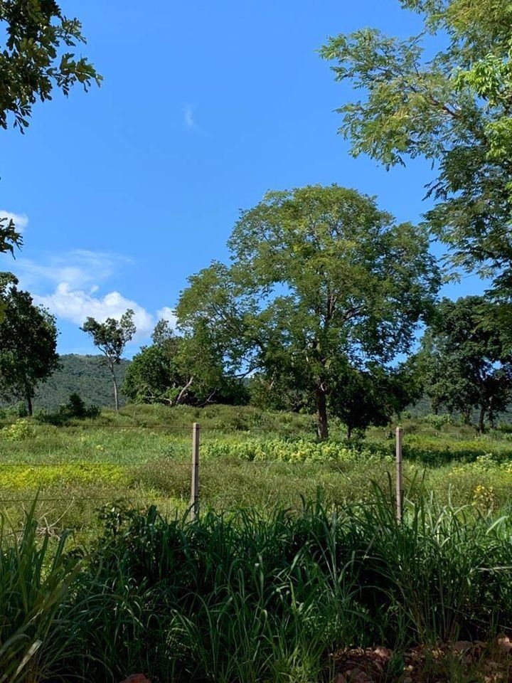 Fazenda-Sítio-Chácara, 200 m² - Foto 84
