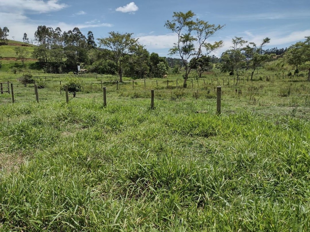 Sítio, 2 quartos, 100 m² - Foto 6