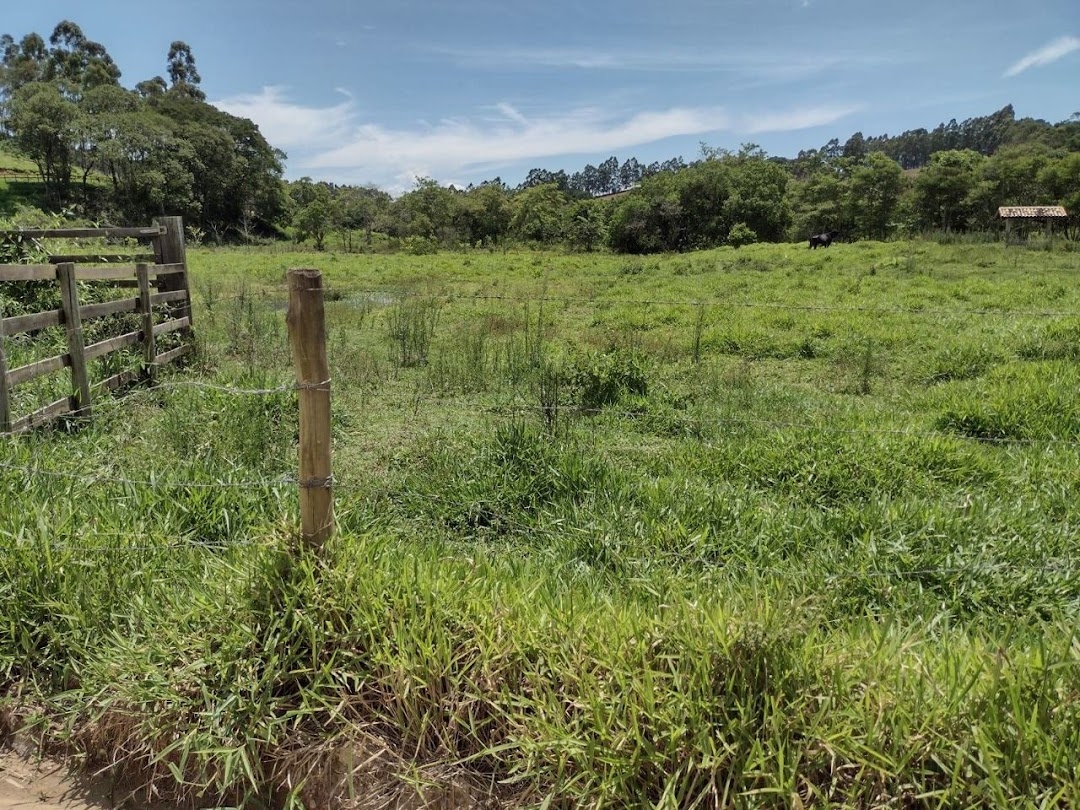 Sítio, 2 quartos, 100 m² - Foto 15