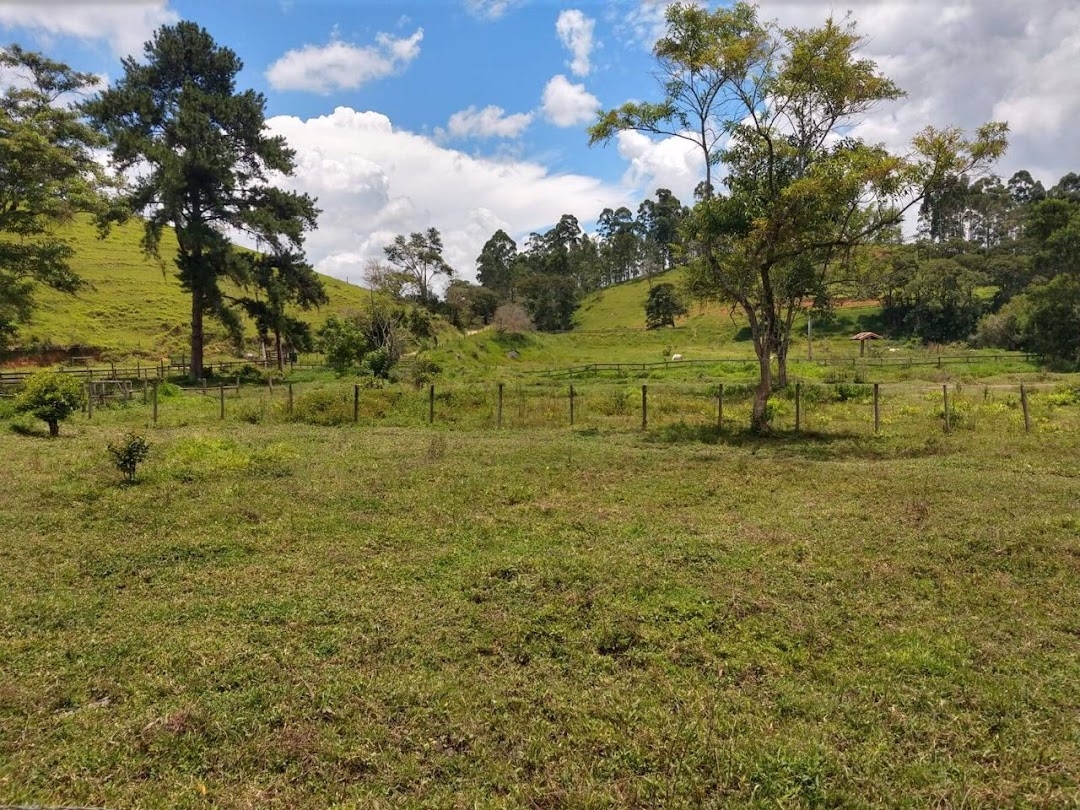 Sítio, 2 quartos, 100 m² - Foto 1