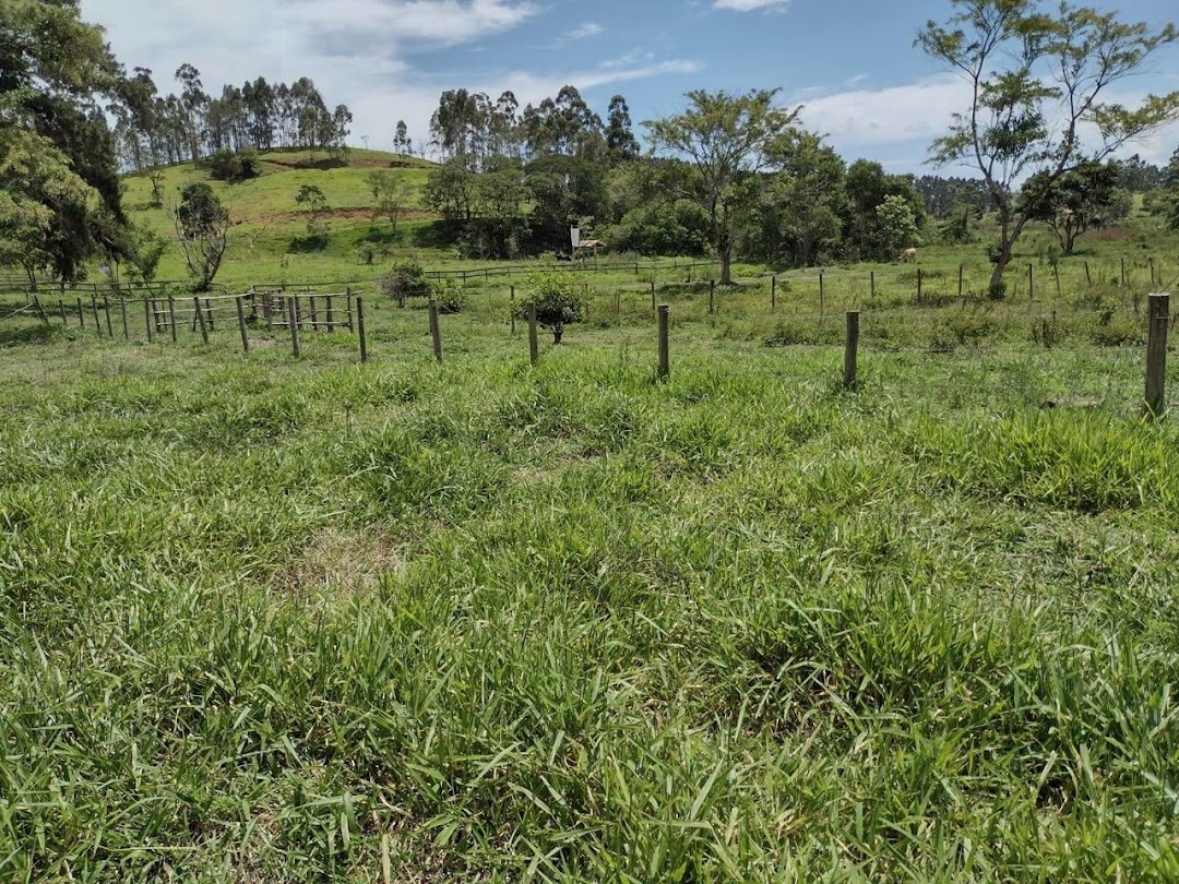 Sítio, 2 quartos, 100 m² - Foto 7