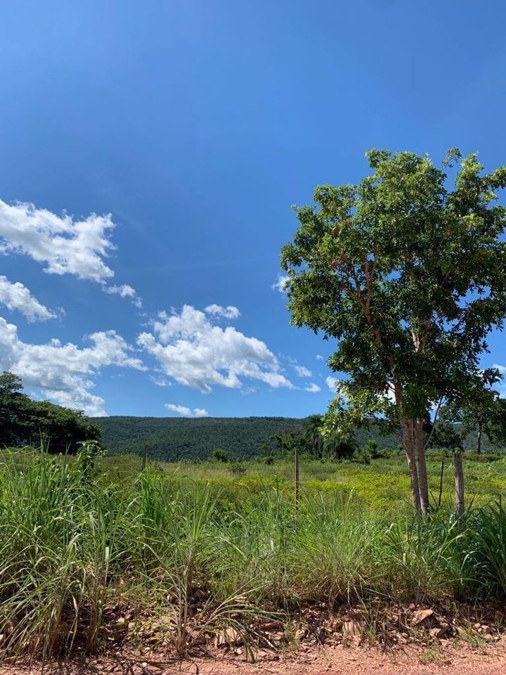 Fazenda-Sítio-Chácara, 200 m² - Foto 80