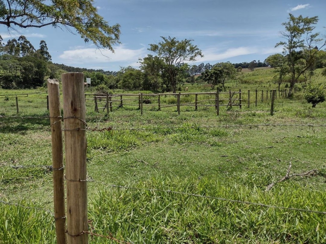 Sítio, 2 quartos, 100 m² - Foto 4