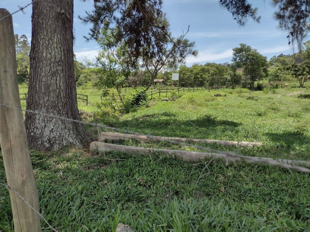 Sítio, 2 quartos, 100 m² - Foto 11