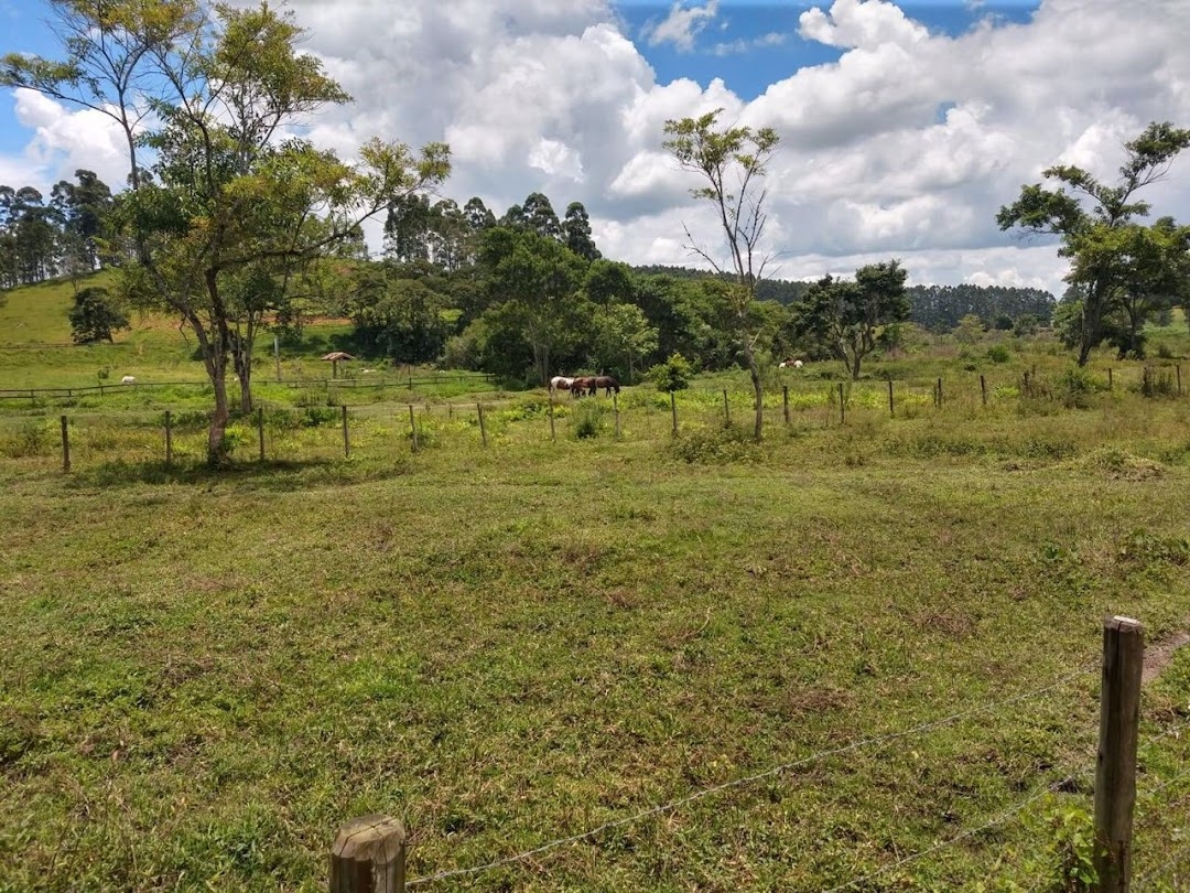 Sítio, 2 quartos, 100 m² - Foto 2