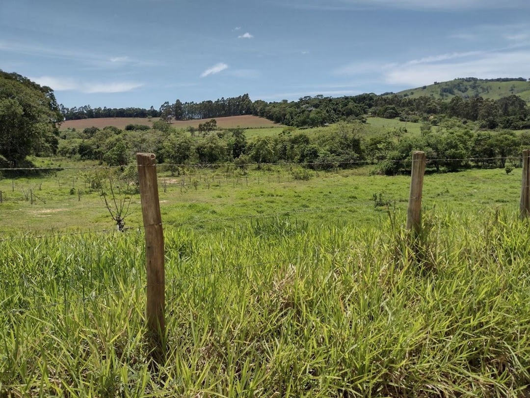 Sítio, 2 quartos, 100 m² - Foto 3