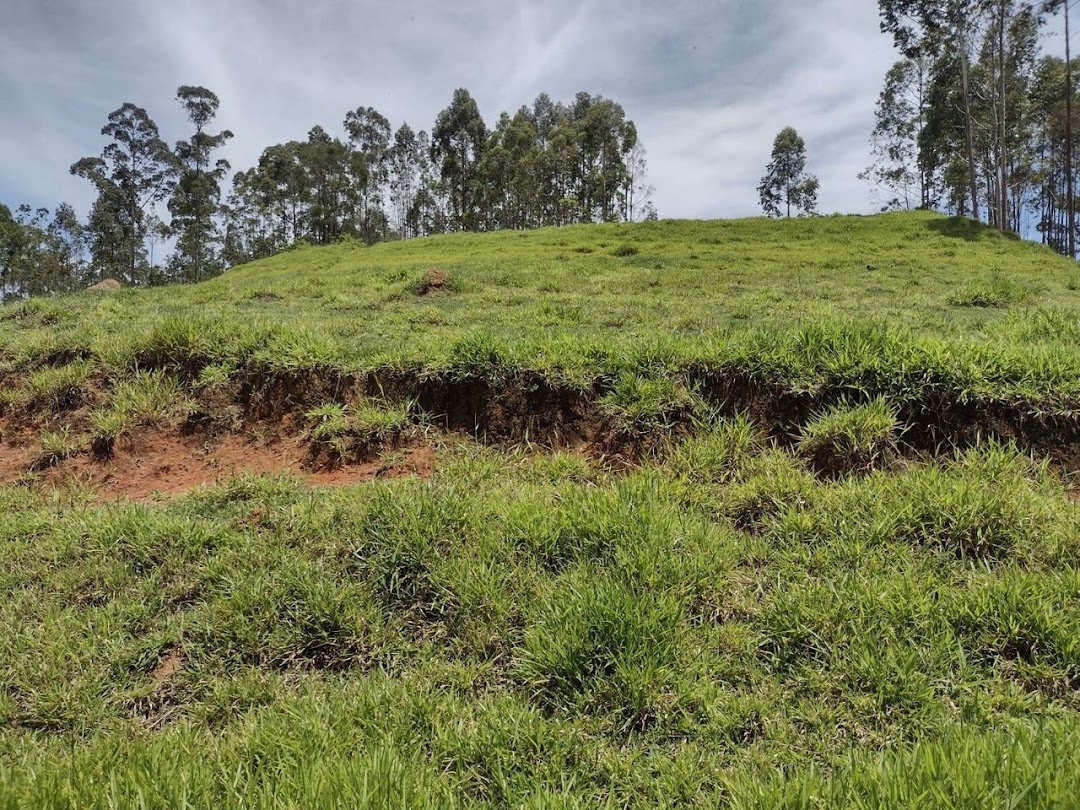 Sítio, 2 quartos, 100 m² - Foto 22