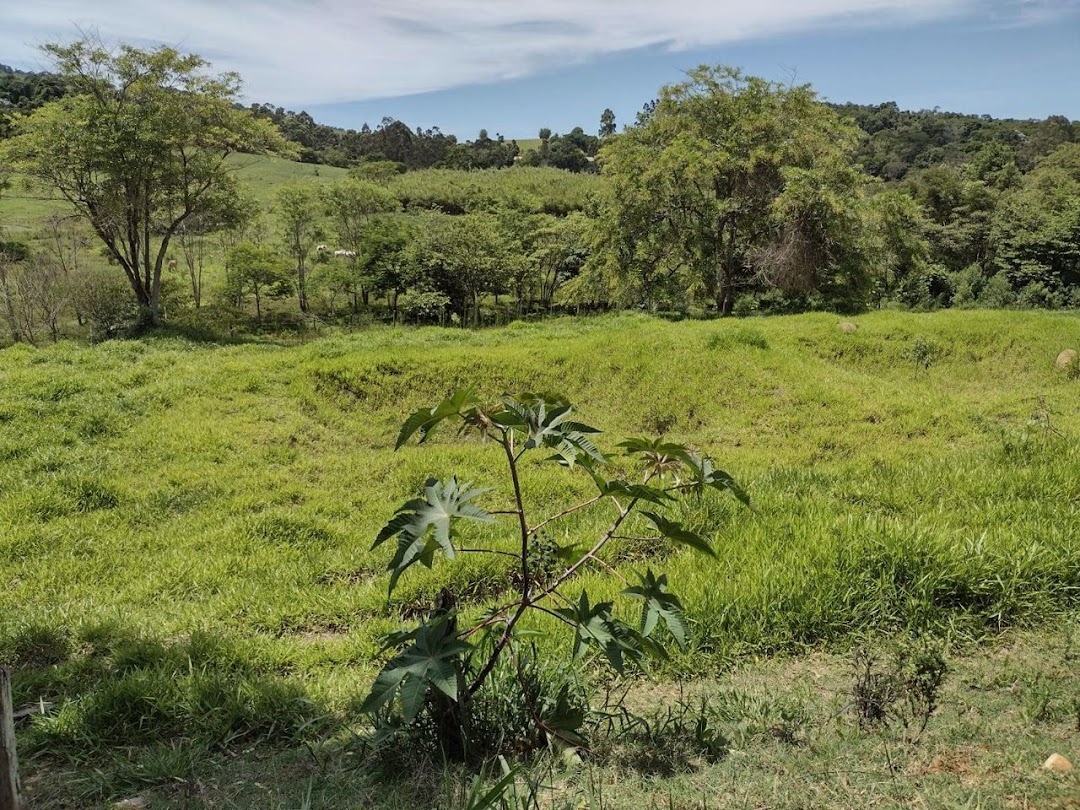 Sítio, 2 quartos, 100 m² - Foto 21