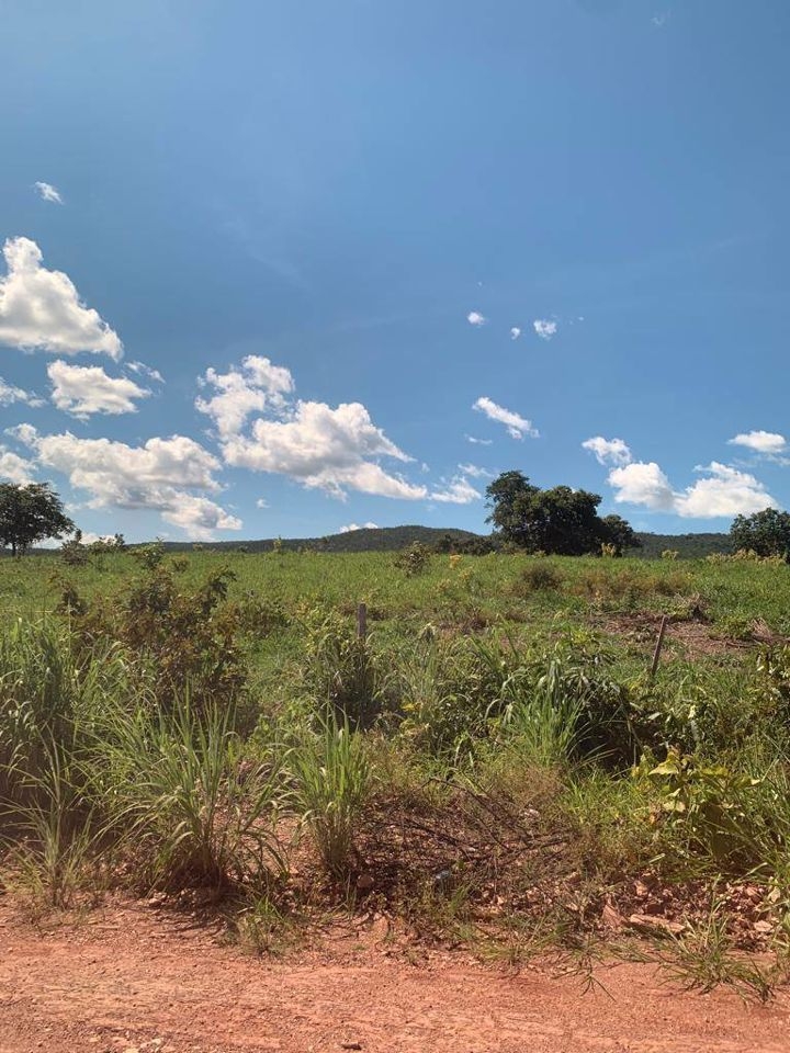 Fazenda-Sítio-Chácara, 200 m² - Foto 89