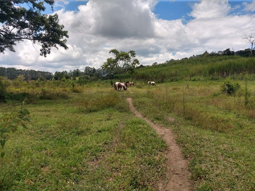 Sítio, 2 quartos, 100 m² - Foto 24