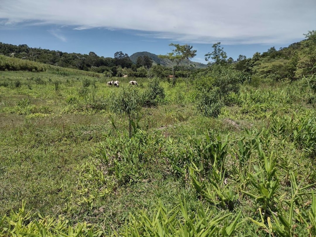 Sítio, 2 quartos, 100 m² - Foto 20